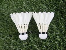 乐鱼官网-印尼羽毛球队绝杀法国羽毛球队，李宗伟高光表现