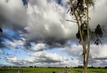 乐鱼app-哈斯车队力克红牛车队，维斯塔潘刷新纪录的简单介绍